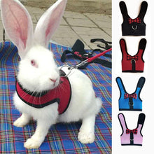 Load image into Gallery viewer, Rabbits Hamster Vest Harness With Leas Bunny  Mesh Chest Strap Harnesses Ferret Guinea Pig Small Animals Pet Accessories S/M/L 4