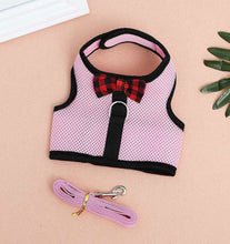 Load image into Gallery viewer, Rabbits Hamster Vest Harness With Leas Bunny  Mesh Chest Strap Harnesses Ferret Guinea Pig Small Animals Pet Accessories S/M/L 4