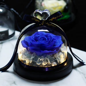 The Beauty And Beast Rose Flower Eternal Preserved In Glass Dome wedding Decoration Valentines Day Birthday party Gift