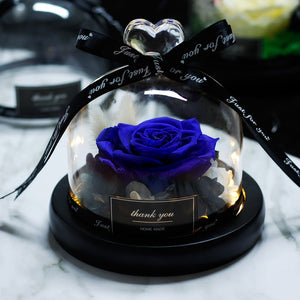 The Beauty And Beast Rose Flower Eternal Preserved In Glass Dome wedding Decoration Valentines Day Birthday party Gift