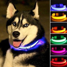 Load image into Gallery viewer, Nylon LED Pet dog Collar,Night Safety Flashing Glow In The Dark Dog Leash,Dogs Luminous Fluorescent Collars Pet Supplies